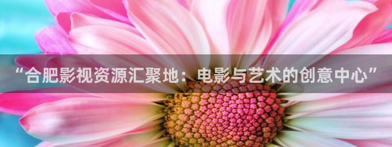 保利国际影城几点开门：“合肥影视资源汇聚地：电影与艺术的创意中心”