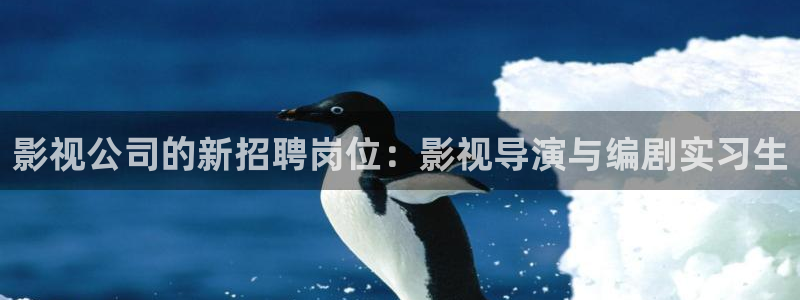 保利国际影院：影视公司的新招聘岗位：影视导演与编剧实习生