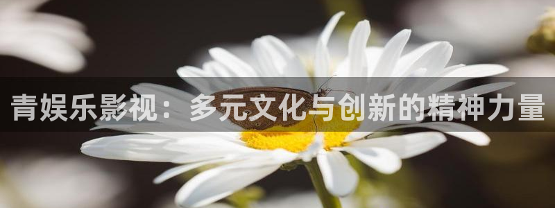 保利影业：青娱乐影视：多元文化与创新的精神力量