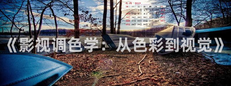 鞍山保利万和影城：《影视调色学：从色彩到视觉》