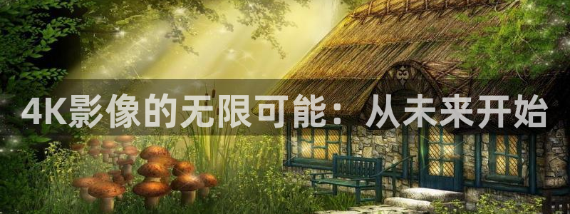 山东保利剧院：4K影像的无限可能：从未来开始